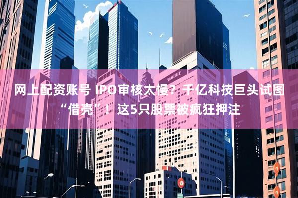 网上配资账号 IPO审核太慢？千亿科技巨头试图“借壳”！这5只股票被疯狂押注